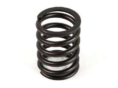 Maxiforce - Valve Spring Caterpillar